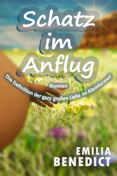 Schatz im Anflug • Emilia Benedict